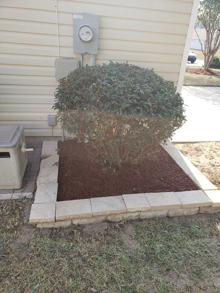 Top-rated outdoor landscaping near you across Tallahassee, FL - Blue Sky Landscaping and Design