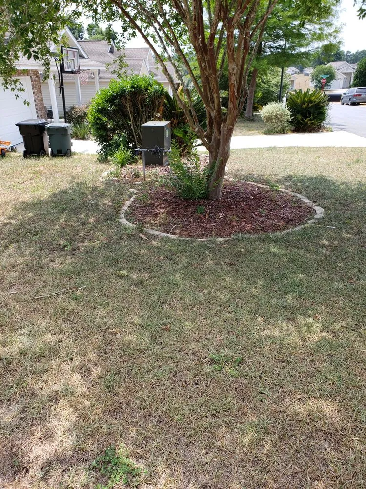 Expert outdoor landscaping experts serving Tallahassee, FL - Blue Sky Landscaping and Design