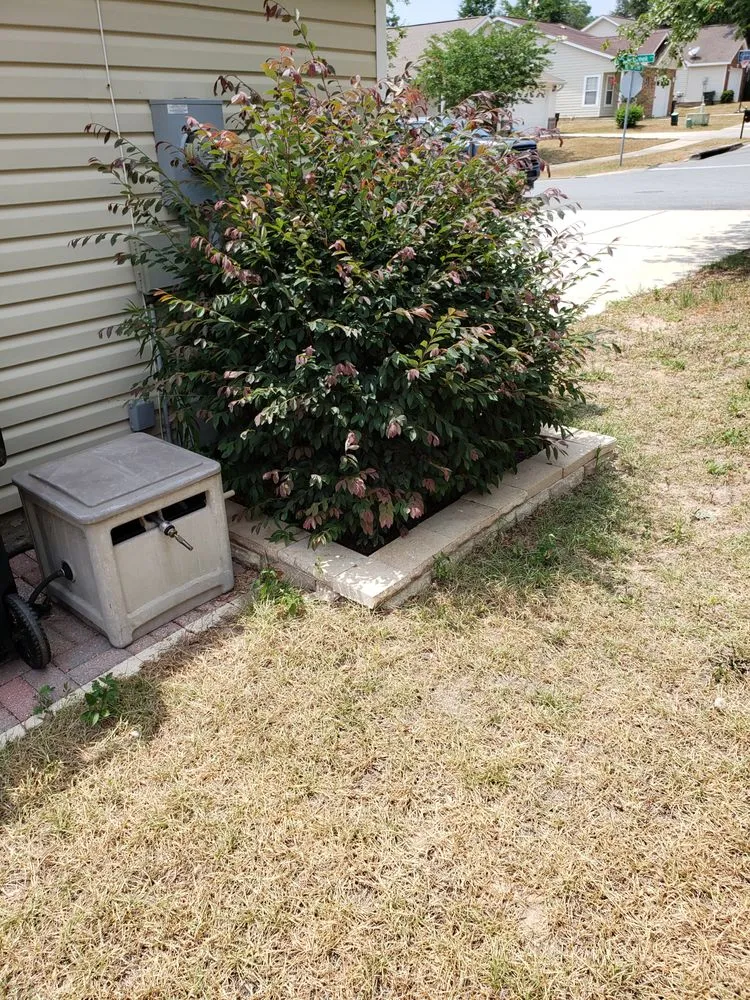 Local landscaping services in Tallahassee, FL by Blue Sky Landscaping and Design