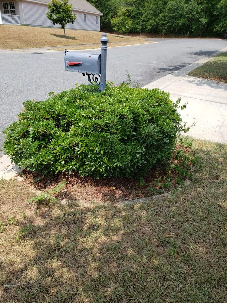 Trusted landscape installation in Tallahassee, FL by Blue Sky Landscaping and Design