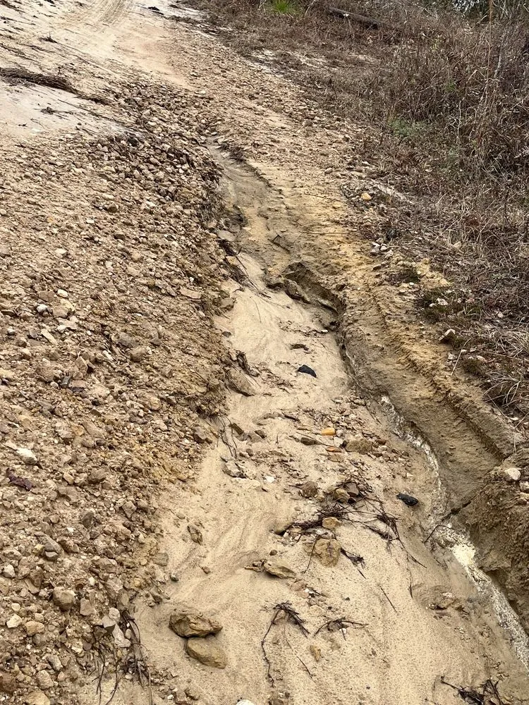 Reliable landscaping services in Tallahassee, FL - Blue Sky Landscaping and Design