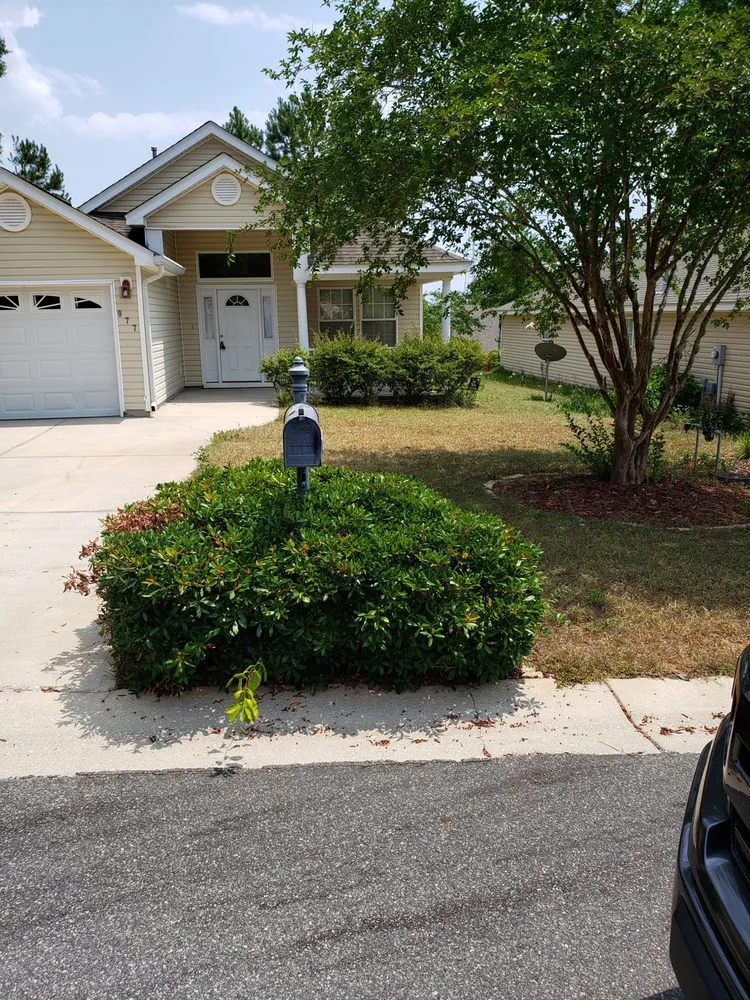 Reliable lawn care service near you across Tallahassee, FL - Blue Sky Landscaping and Design