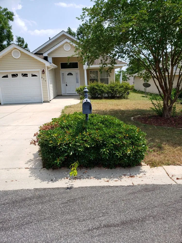 Expert landscape design with custom design across Tallahassee, FL - Blue Sky Landscaping and Design