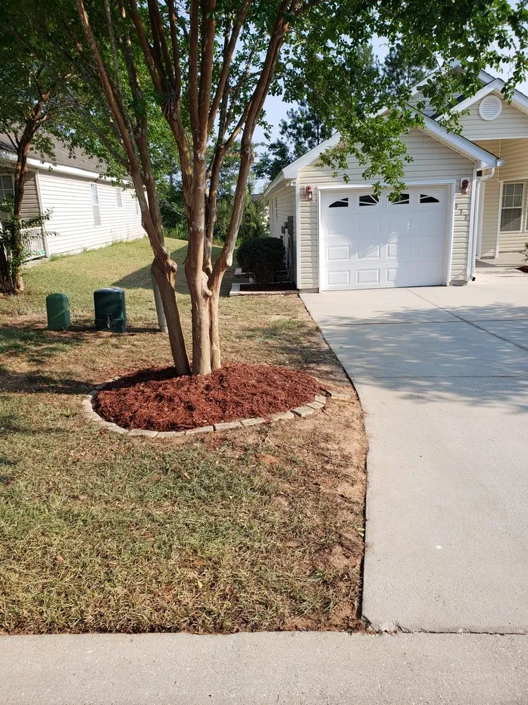 Affordable landscape installation in Tallahassee, FL by Blue Sky Landscaping and Design