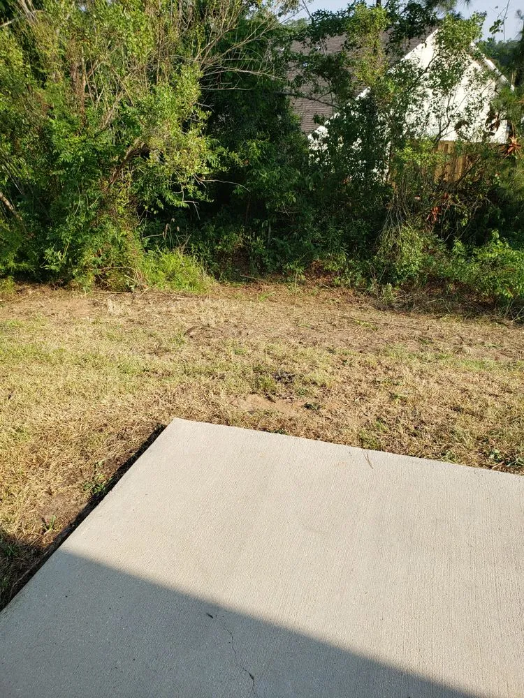 Top-rated outdoor landscaping in Tallahassee, FL by Blue Sky Landscaping and Design