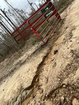 Blue Sky Landscaping and Design Logo