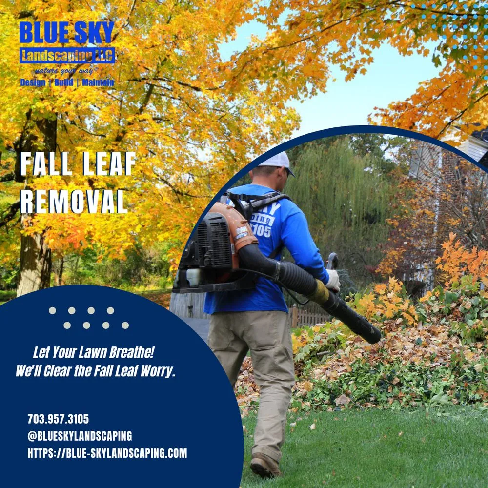 Local yard cleanup service for homes in Chantilly, VA by Blue Sky Landscaping