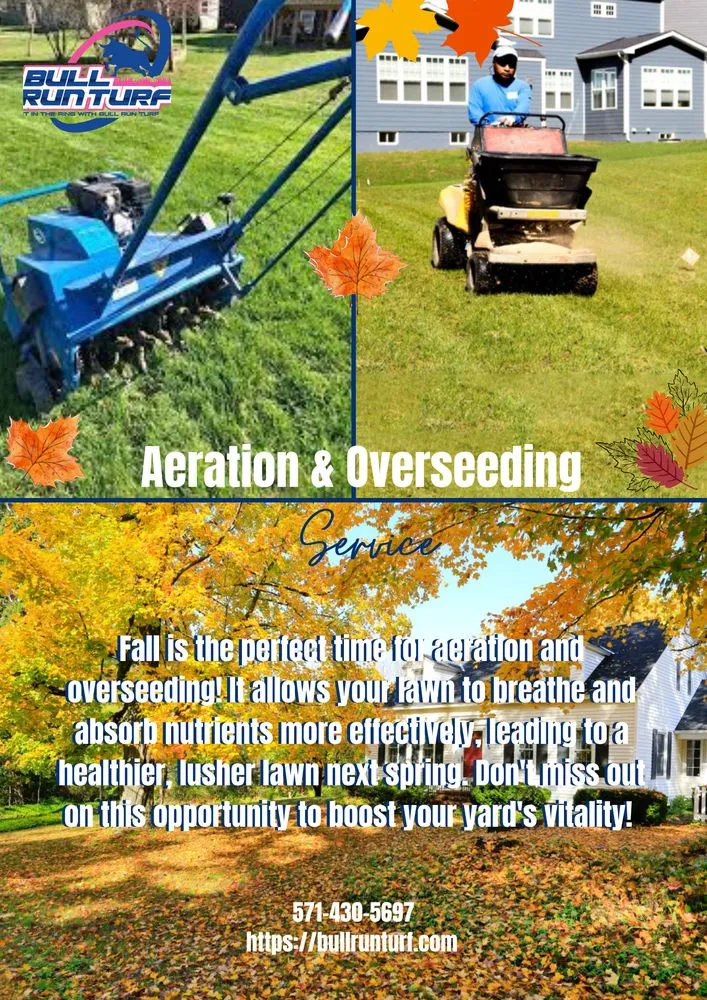 Trusted landscaping services in Chantilly, VA by Blue Sky Landscaping