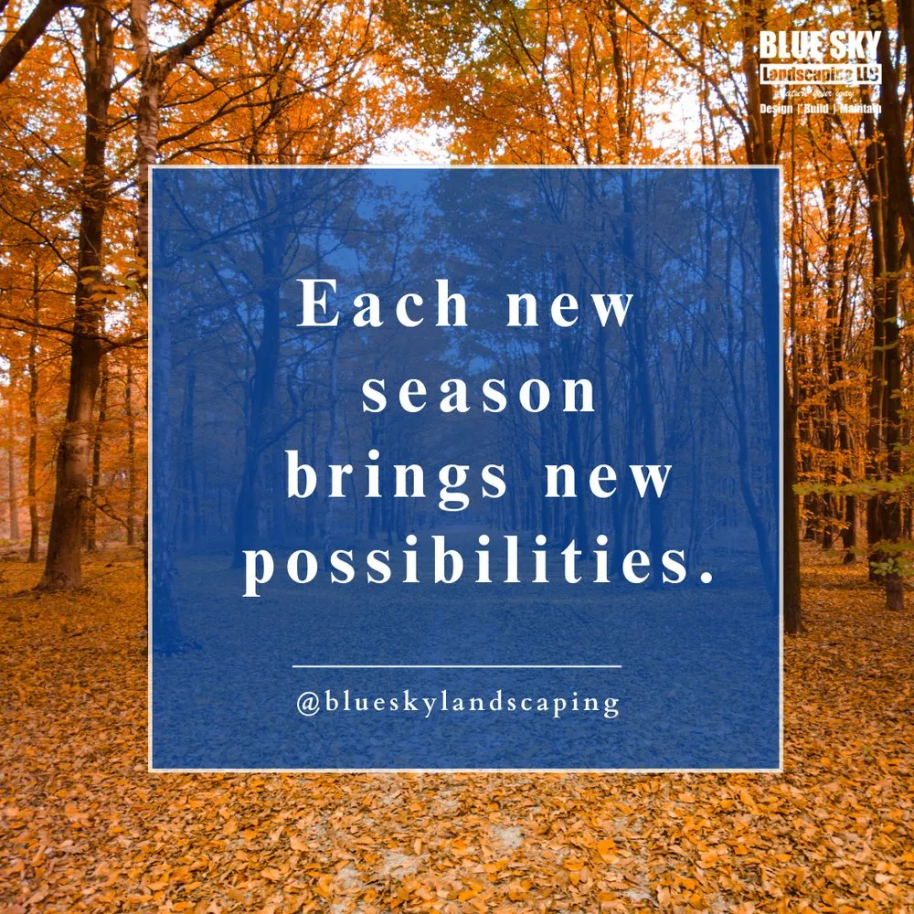 Trusted lawn care service with custom design across Chantilly, VA - Blue Sky Landscaping