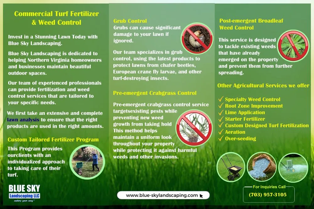 Top-rated yard cleanup service for year-round maintenance in Chantilly, VA by Blue Sky Landscaping