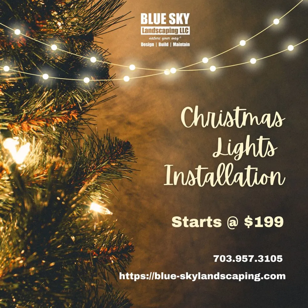 Reliable lawn mowing service for beautiful yards in Chantilly, VA by Blue Sky Landscaping