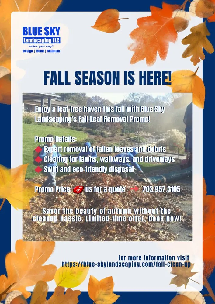 Affordable landscape installation in Chantilly, VA by Blue Sky Landscaping