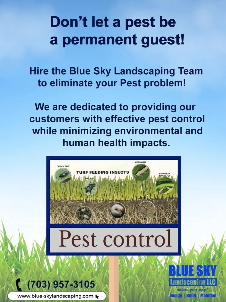 Top-rated residential landscaping in Chantilly, VA by Blue Sky Landscaping