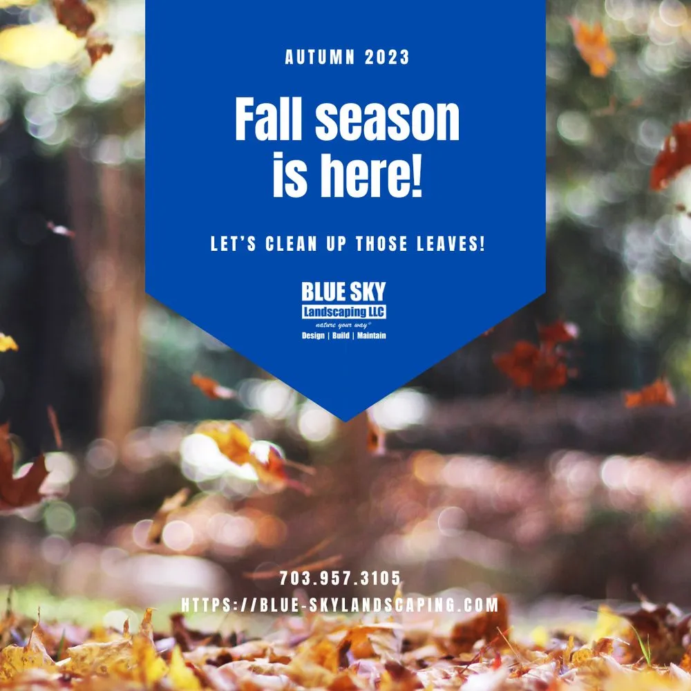 Affordable lawn mowing service experts serving Chantilly, VA - Blue Sky Landscaping