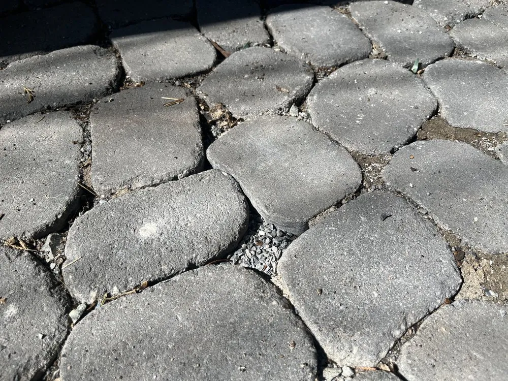 Local yard maintenance in Chantilly, VA - Blue Sky Landscaping