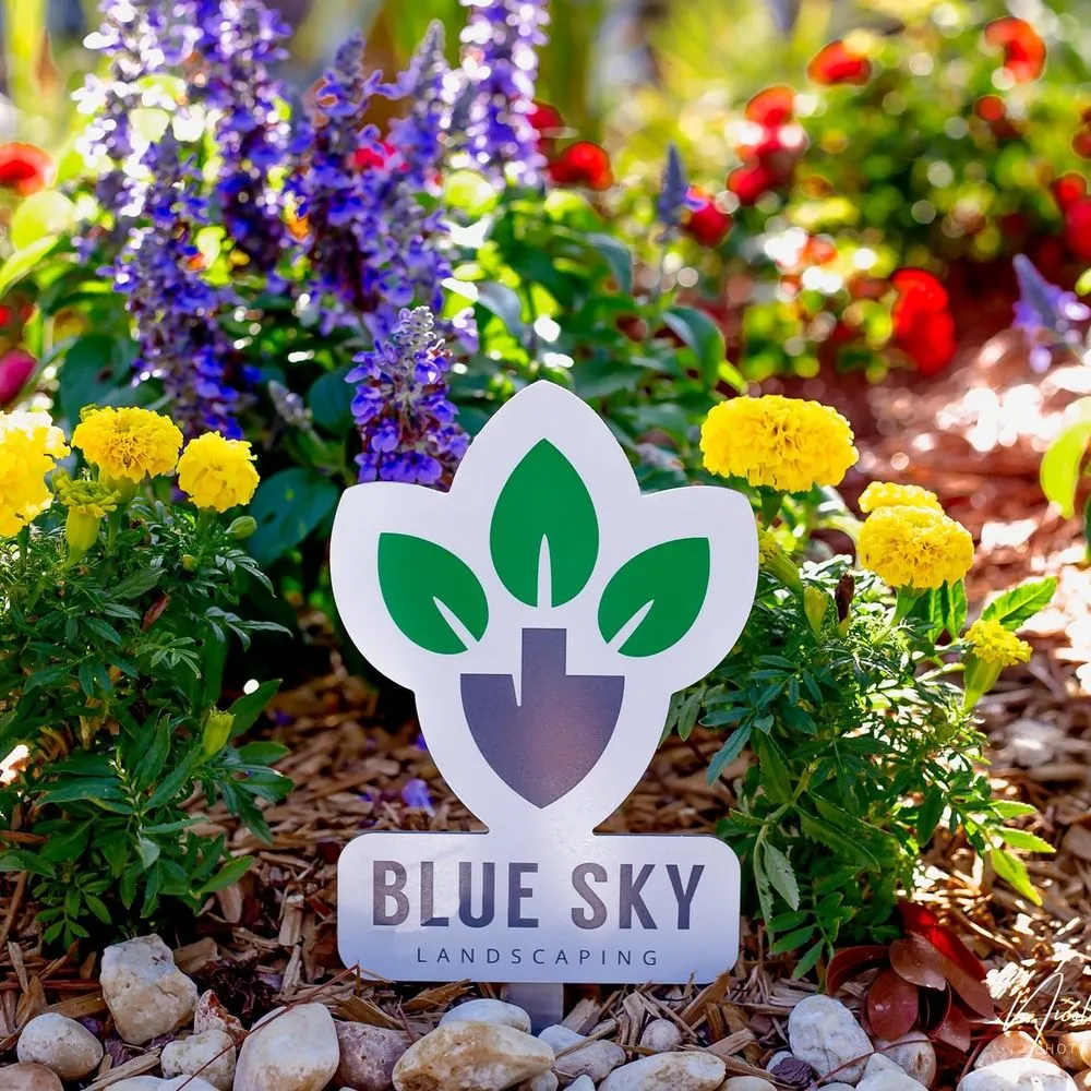 Trusted yard cleanup service for homes across Pensacola, FL - Blue Sky Landscaping