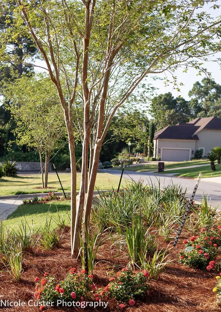 Reliable landscaping services in Pensacola, FL by Blue Sky Landscaping
