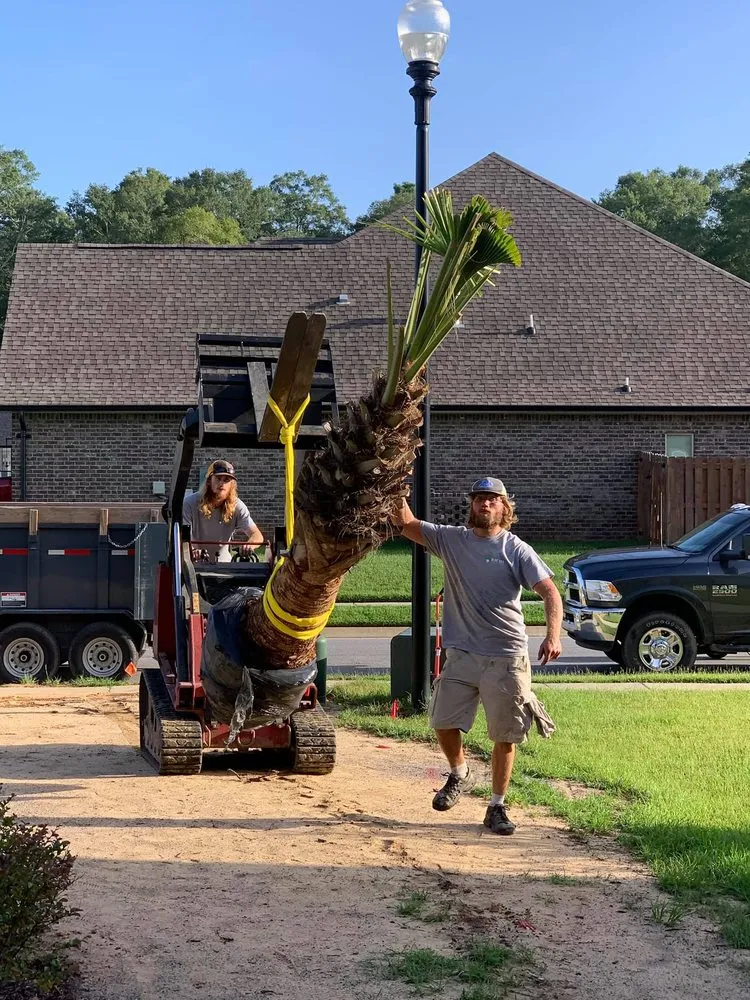 Expert lawn care service for beautiful yards across Pensacola, FL - Blue Sky Landscaping