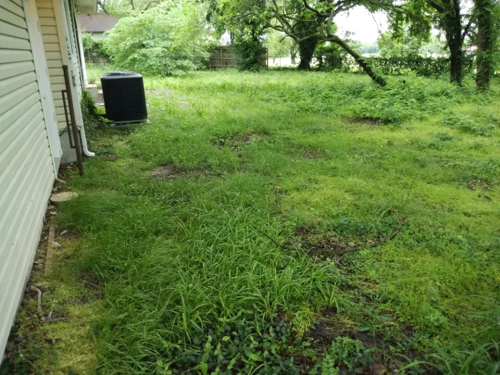 Expert landscape design for year-round maintenance across La Russell, MO - Blue Sky Lawn Care