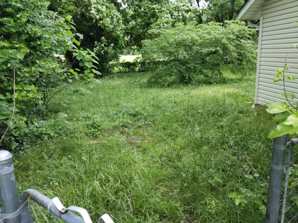 Top-rated lawn mowing service in La Russell, MO - Blue Sky Lawn Care