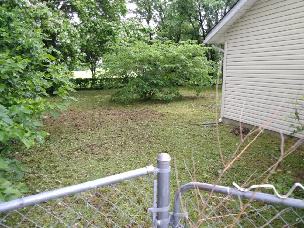 Reliable lawn mowing service for residential properties across La Russell, MO - Blue Sky Lawn Care