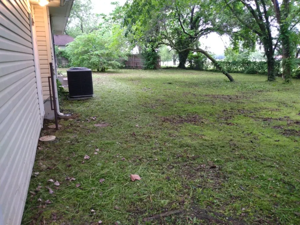 Affordable landscape installation for residential properties across La Russell, MO - Blue Sky Lawn Care