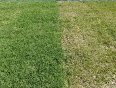 Expert yard maintenance near you across Janesville, WI - Blue Sky Lawns