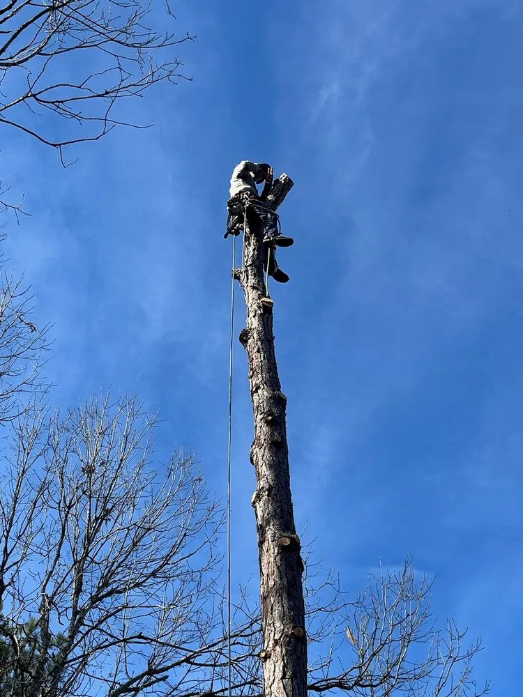 Custom residential landscaping for year-round maintenance in Johnston, SC by Blue Sky Outdoor Services