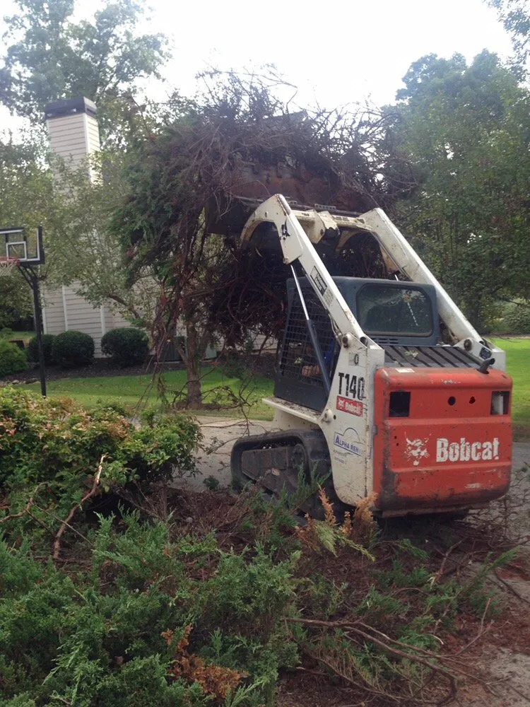 Professional lawn care service experts serving Alpharetta, GA - Blue Sky Pro Wash