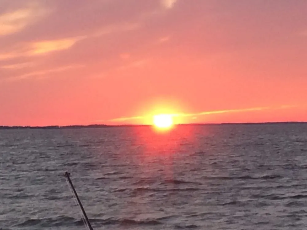 Professional garden landscaping in Wilmington, DE by Blue Sky Property Maintenance