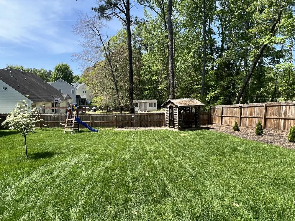 Custom lawn care service experts serving Ridge, VA - Blue Sky