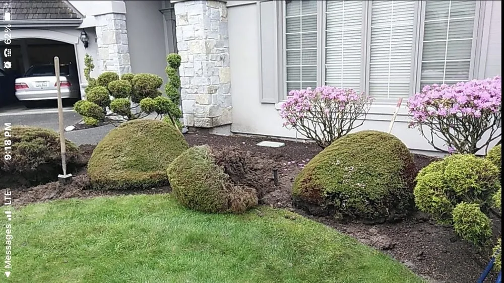 Reliable lawn mowing service in Lynnwood, WA - Blue Sky Services