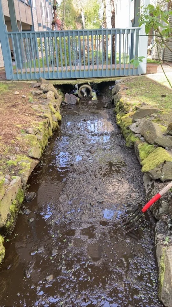 Custom lawn care service in Lynnwood, WA - Blue Sky Services