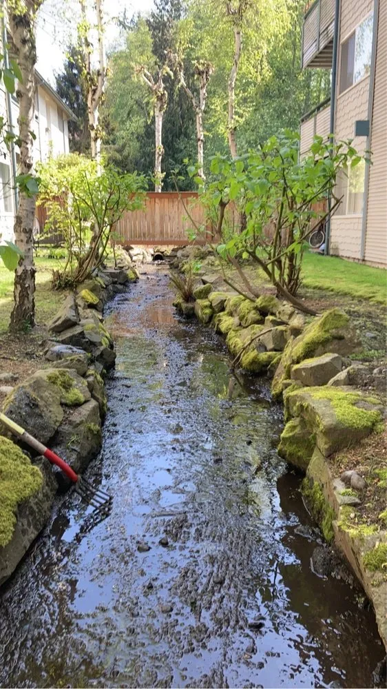 Professional lawn mowing service in Lynnwood, WA by Blue Sky Services