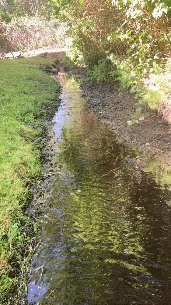 Custom residential landscaping experts serving Lynnwood, WA - Blue Sky Services