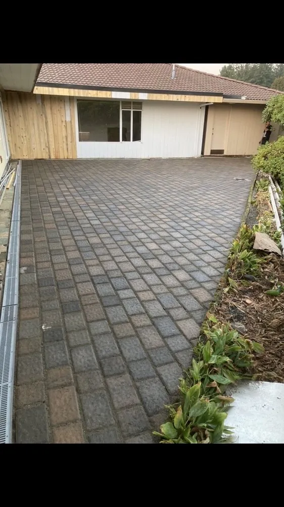 Custom yard cleanup service near you in Lynnwood, WA by Blue Sky Services