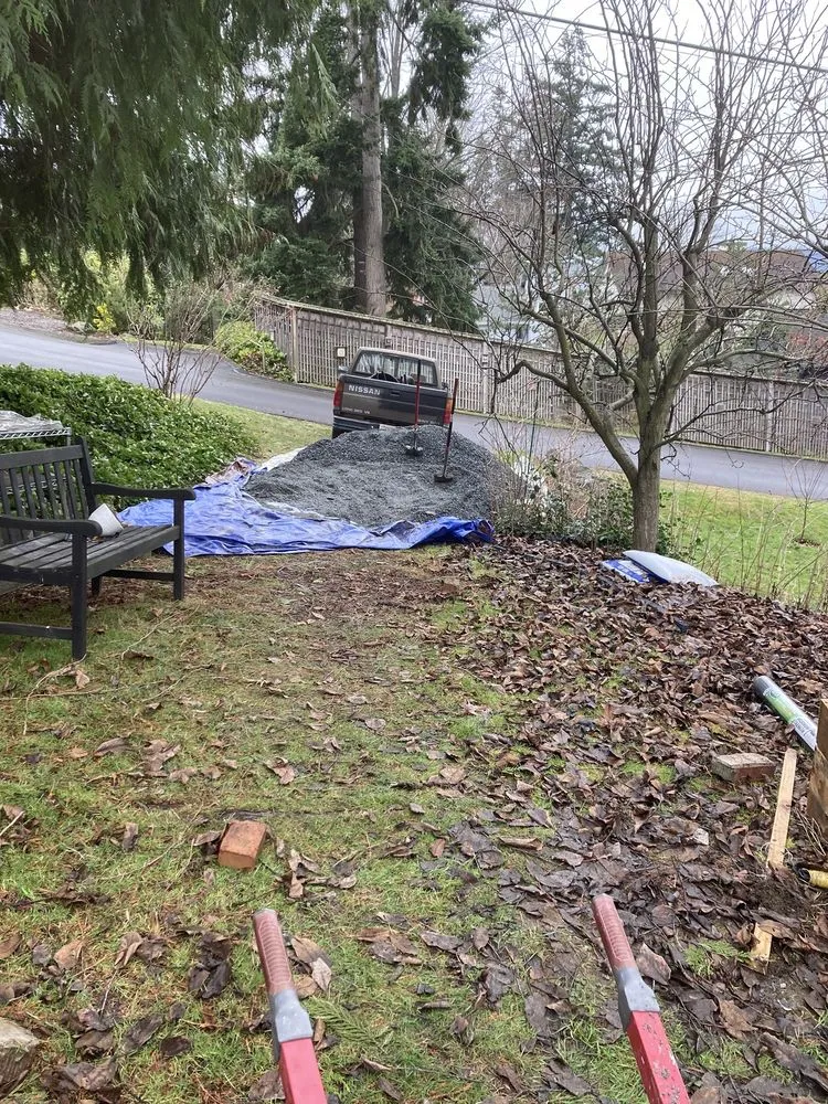Expert yard cleanup service for beautiful yards across Lynnwood, WA - Blue Sky Services
