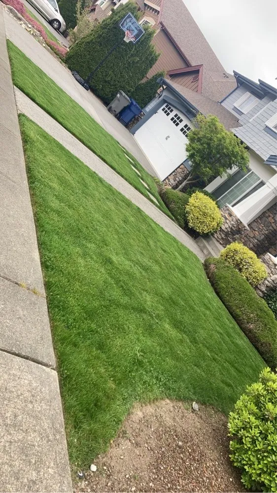 Expert residential landscaping in Lynnwood, WA by Blue Sky Services