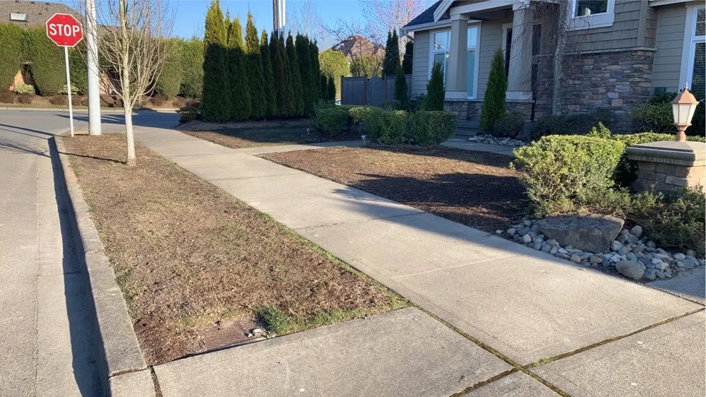 Expert residential landscaping for homes in Lynnwood, WA by Blue Sky Services
