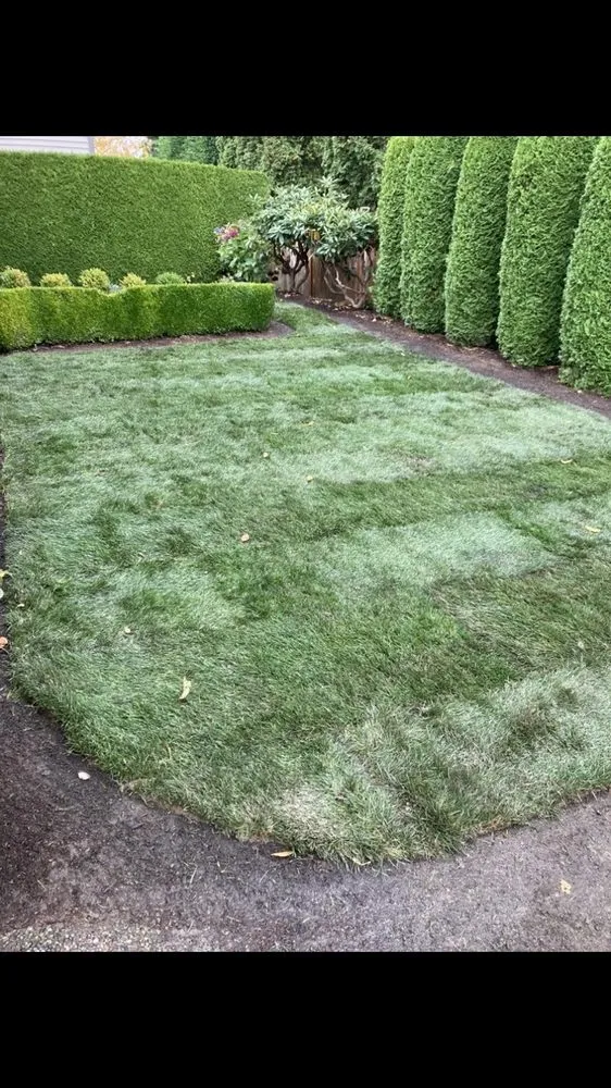 Professional residential landscaping for homes in Lynnwood, WA by Blue Sky Services