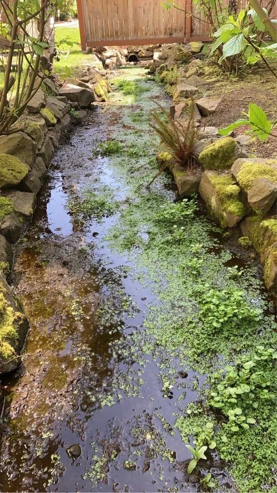 Top-rated landscaping services experts serving Lynnwood, WA - Blue Sky Services