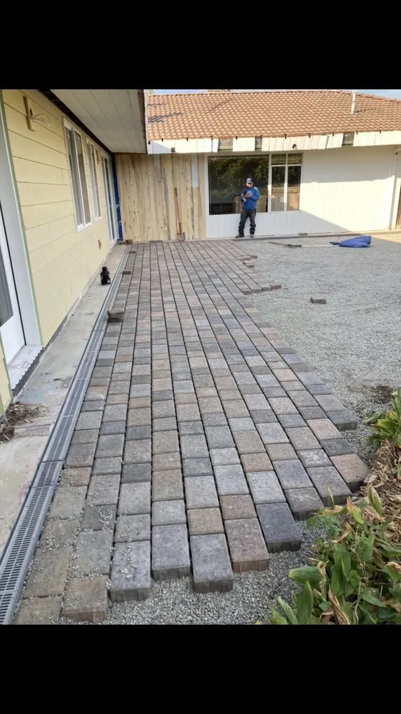 Trusted yard cleanup service for beautiful yards across Lynnwood, WA - Blue Sky Services