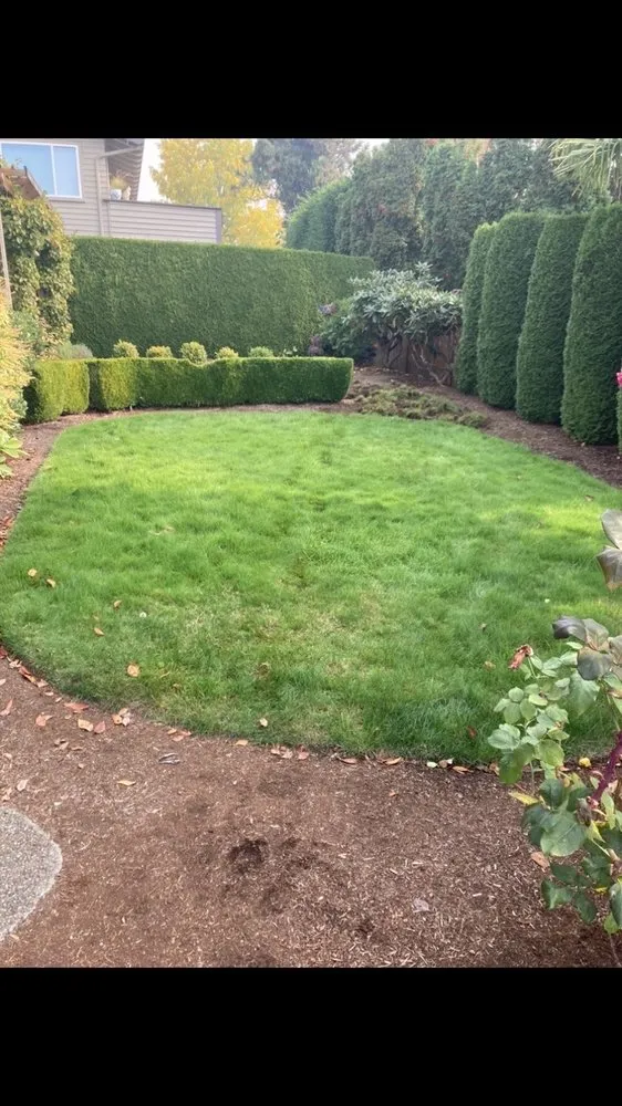 Expert landscape installation for residential properties across Lynnwood, WA - Blue Sky Services