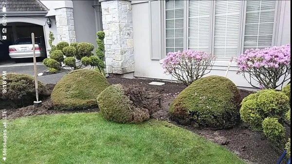 Blue Sky Services Logo