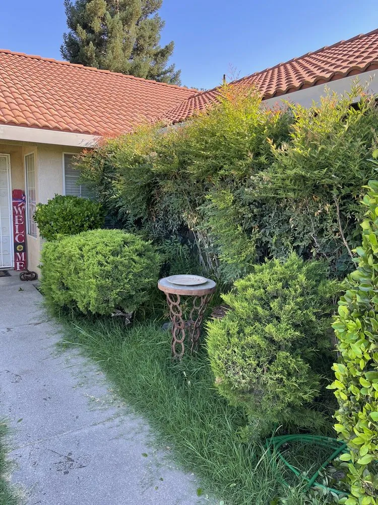 Expert outdoor landscaping for outdoor upgrades across Oakdale, CA - Blue Sky Yard Service