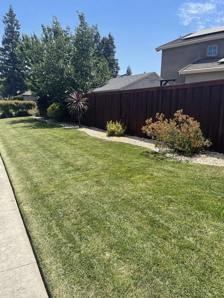 Top-rated residential landscaping for year-round maintenance in Oakdale, CA by Blue Sky Yard Service