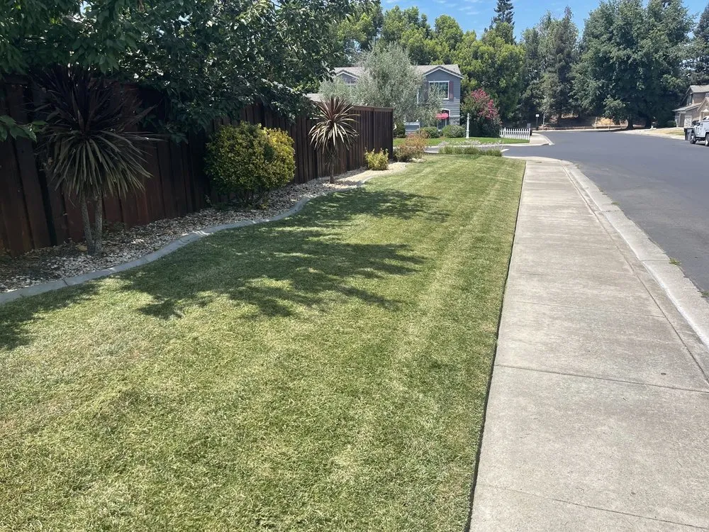 Affordable landscape design for outdoor upgrades across Oakdale, CA - Blue Sky Yard Service