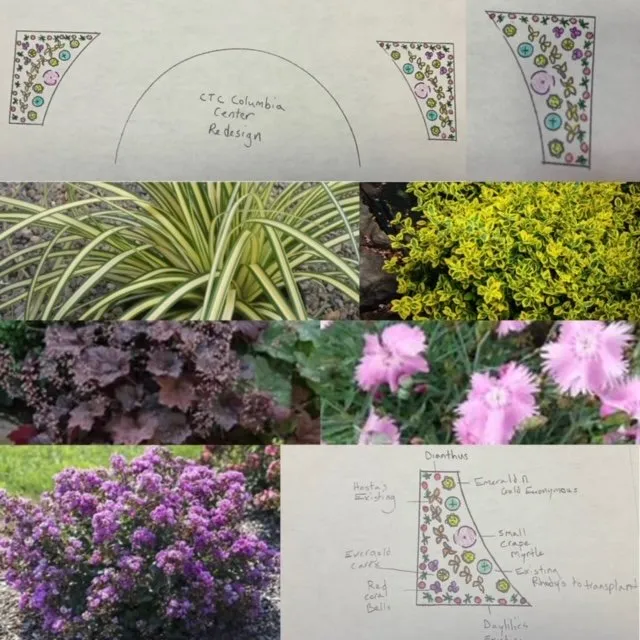 Reliable yard maintenance in Boring, OR - Blue Skye Landscaping