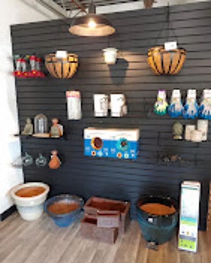 Top-rated yard cleanup service for outdoor upgrades across Excelsior Springs, MO - Blue Sparrow Lawn & Landscape