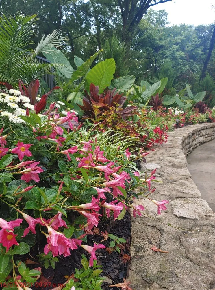 Top-rated lawn mowing service in Excelsior Springs, MO - Blue Sparrow Lawn & Landscape